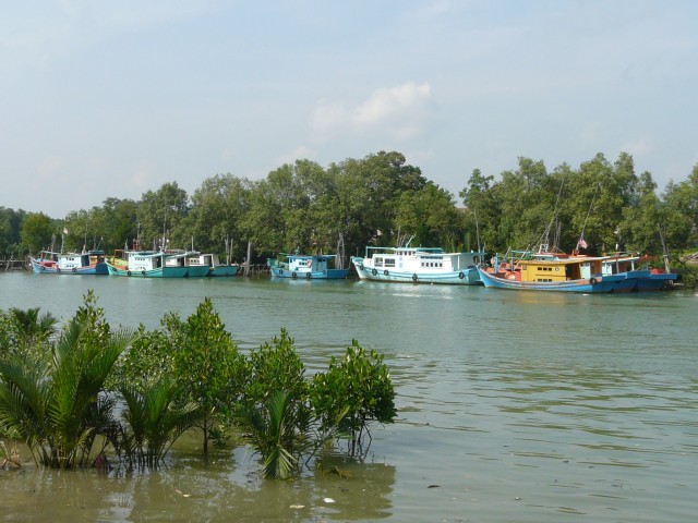 Mersing fishing boats